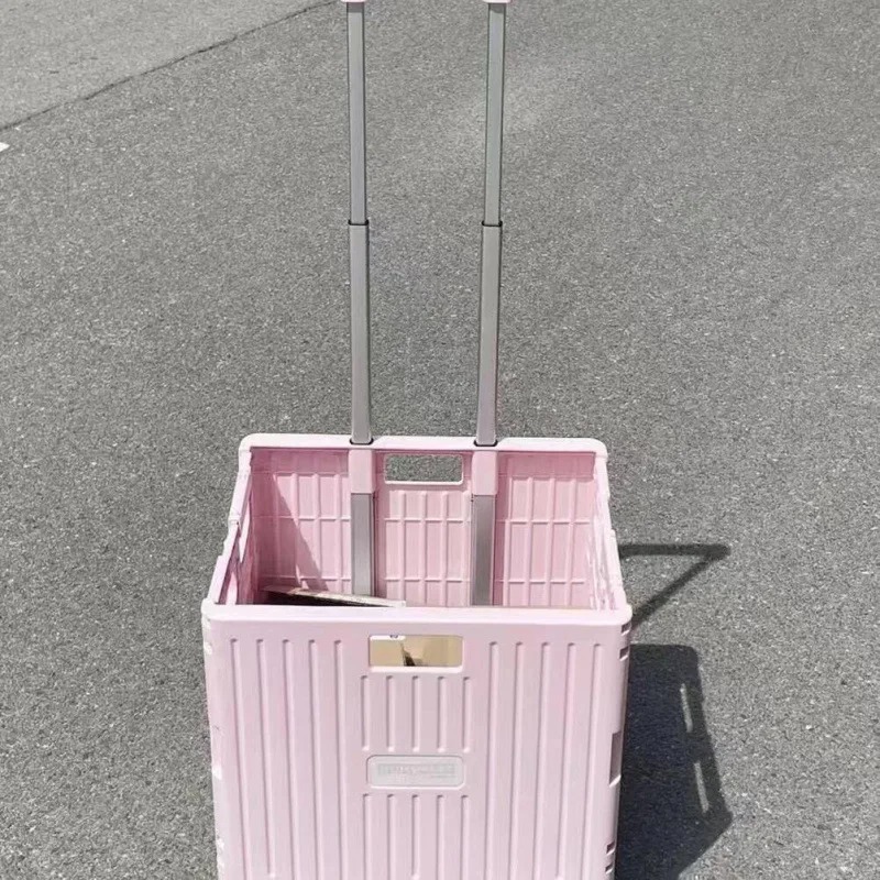 Faltbarer, praktischer Einkauf – Outdoor Camping Trolley Bewertung und Preis